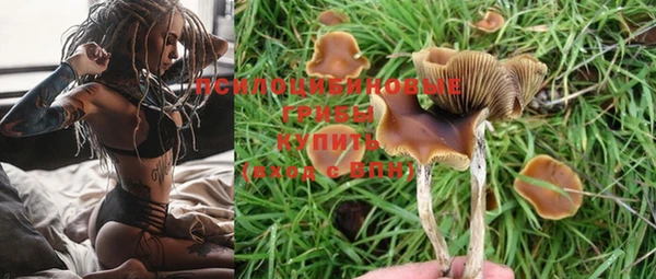 мдма Бородино