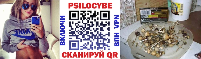 Галлюциногенные грибы мицелий  продажа наркотиков  Новосокольники 